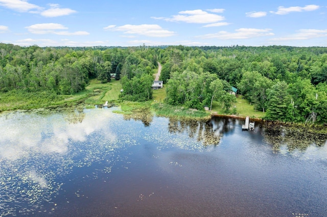 17053 490th St, Shamrock Twp, MN 55760 - drone / aerial view of a heavily wooded area and a large body of water