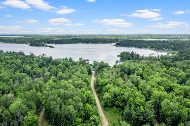 17053 490th St, Shamrock Twp, MN 55760 - bird's eye view of a forest and a nearby body of water