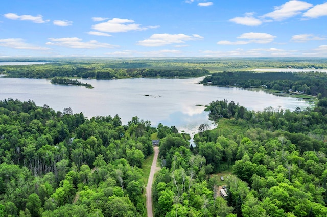 17053 490th St, Shamrock Twp, MN 55760 - bird's eye view of a forest and a nearby body of water