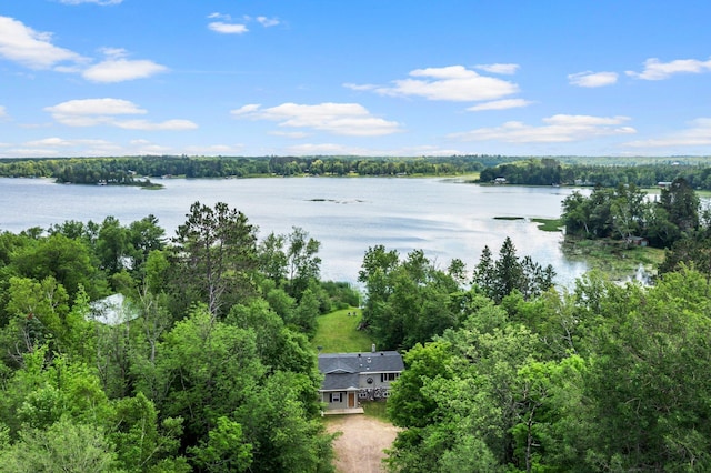 17053 490th St, Shamrock Twp, MN 55760 - view from above of property with a large body of water