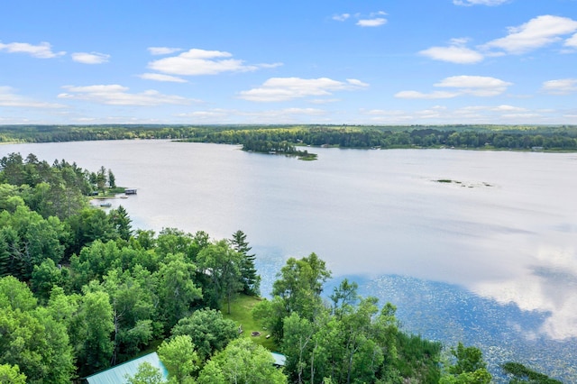 17053 490th St, Shamrock Twp, MN 55760 - water view featuring a forest