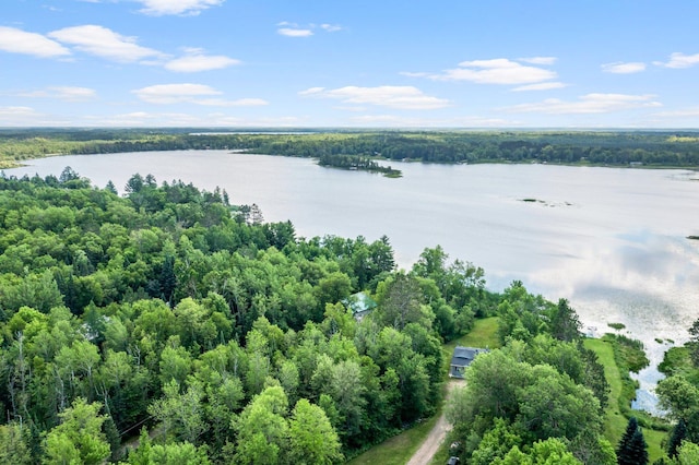 17053 490th St, Shamrock Twp, MN 55760 - aerial view of a nearby body of water and a forest