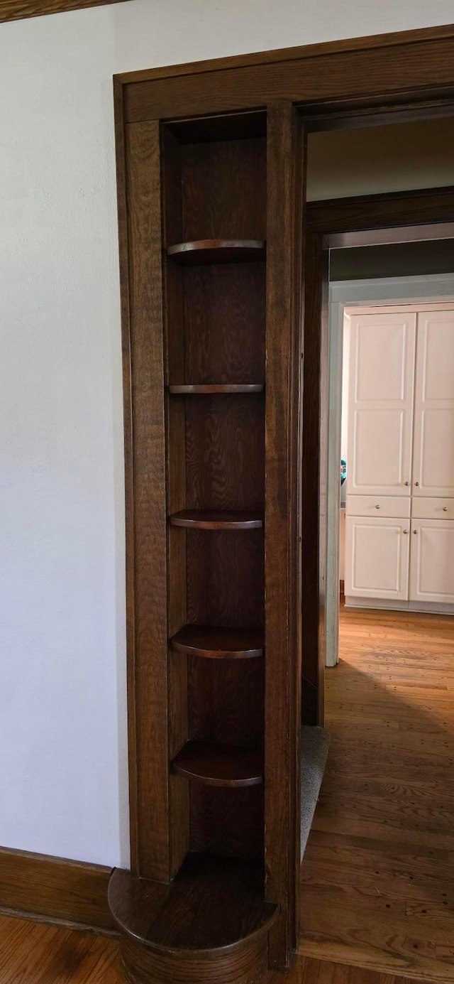 309 5th St SW, Austin, MN 55912 - view of closet