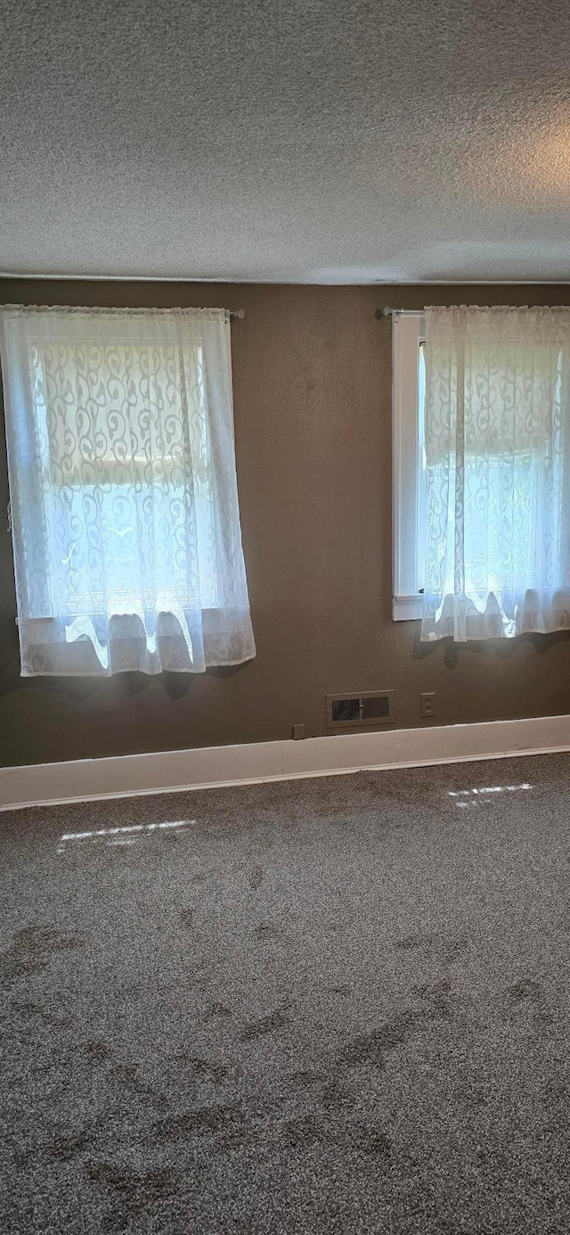 309 5th St SW, Austin, MN 55912 - carpeted empty room with plenty of natural light and a textured ceiling