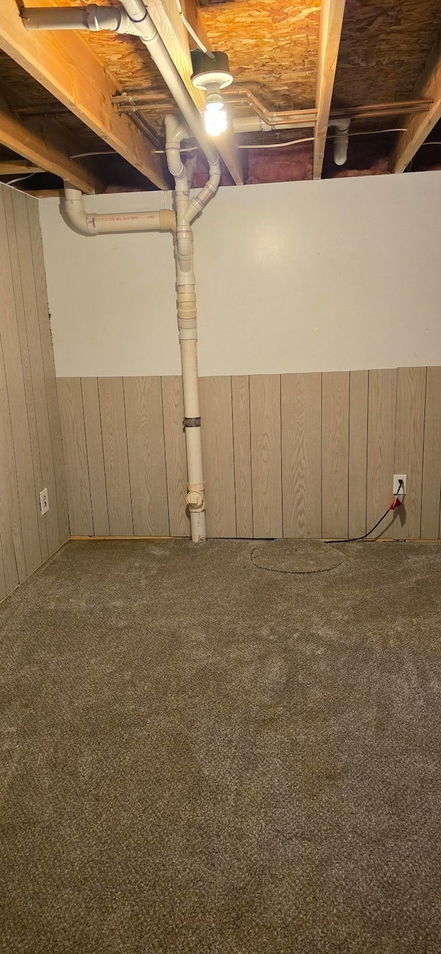 309 5th St SW, Austin, MN 55912 - unfinished basement featuring carpet and wooden walls