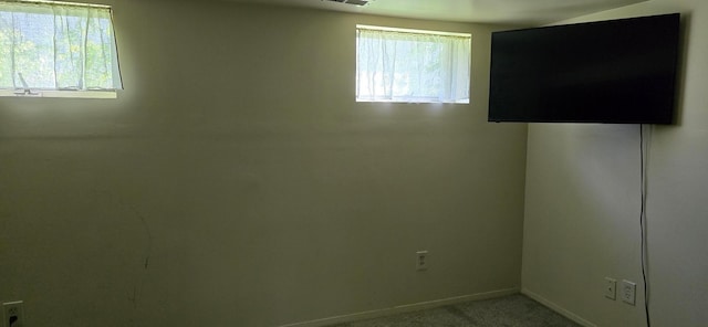 309 5th St SW, Austin, MN 55912 - empty room with healthy amount of natural light and carpet