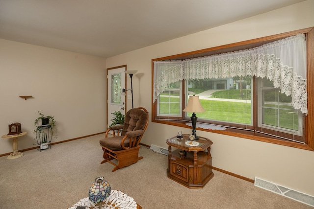 2528 22nd Ave SE, Rochester, MN 55904 - photo 4
