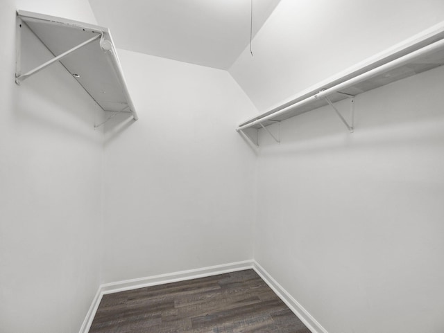 587 Elfelt St, Saint Paul, MN 55103 - walk in closet featuring dark wood finished floors