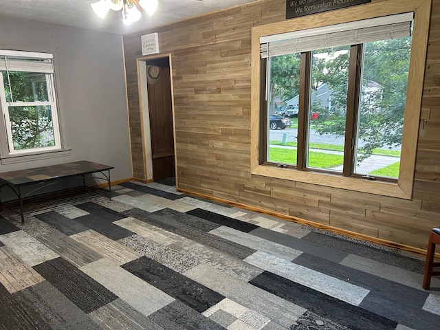 1210 9th St NE, Austin, MN 55912 - spare room featuring wooden walls and ceiling fan