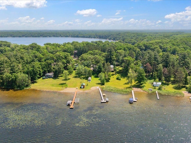 26713 Pelican Beach Rd, Lake Edward Twp, MN 56465 - aerial view of a forest and a large body of water