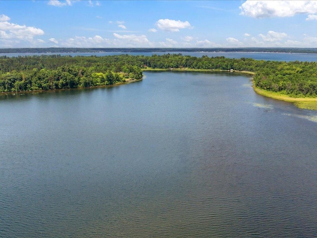 26713 Pelican Beach Rd, Lake Edward Twp, MN 56465 - water view with a forest