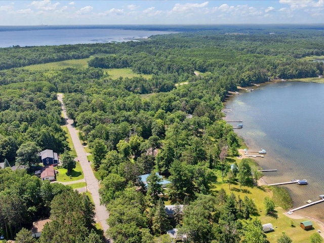 26713 Pelican Beach Rd, Lake Edward Twp, MN 56465 - aerial view of a forest and a large body of water