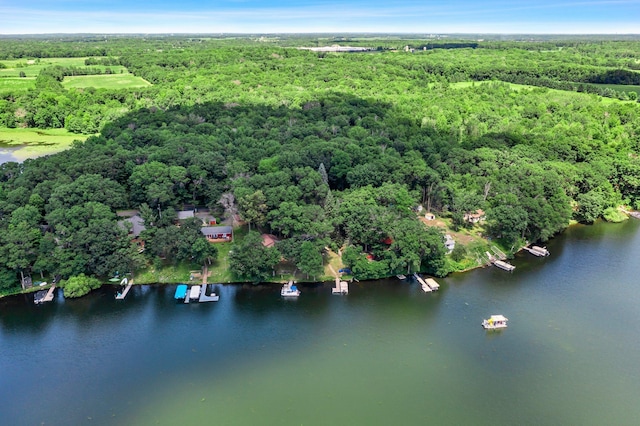 2136 Poplar Ln, Dresser, WI 54009 - photo 34