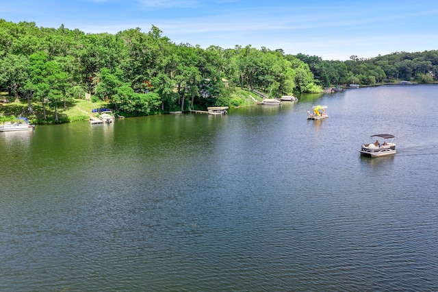 2136 Poplar Ln, Dresser, WI 54009 - photo 36