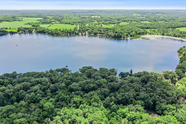 2136 Poplar Ln, Dresser, WI 54009 - photo 37
