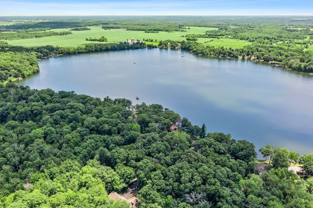 2136 Poplar Ln, Dresser, WI 54009 - photo 38