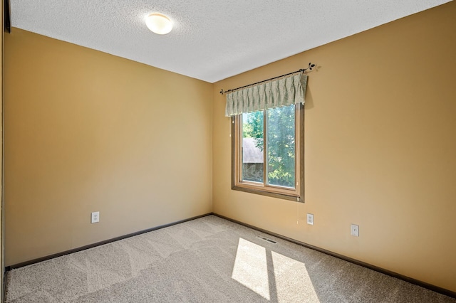 1010 Zanzibar Ln N, Plymouth, MN 55447 - carpeted empty room with a textured ceiling and baseboards
