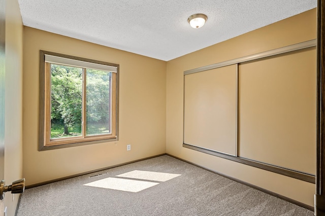 1010 Zanzibar Ln N, Plymouth, MN 55447 - carpeted spare room with a textured ceiling