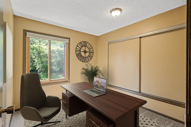 1010 Zanzibar Ln N, Plymouth, MN 55447 - home office with carpet floors and a textured ceiling