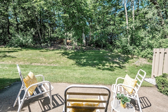 1010 Zanzibar Ln N, Plymouth, MN 55447 - view of green lawn featuring a patio area