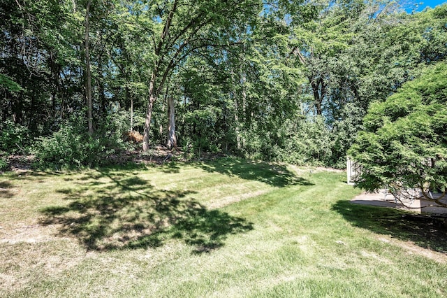 1010 Zanzibar Ln N, Plymouth, MN 55447 - view of grassy yard