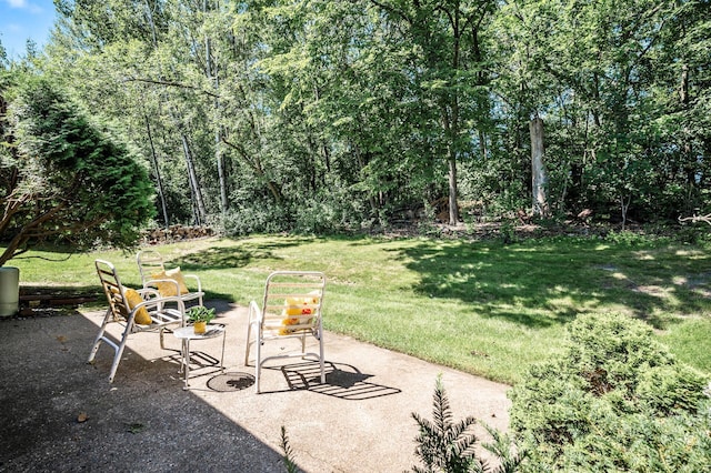 1010 Zanzibar Ln N, Plymouth, MN 55447 - view of green lawn with a patio area