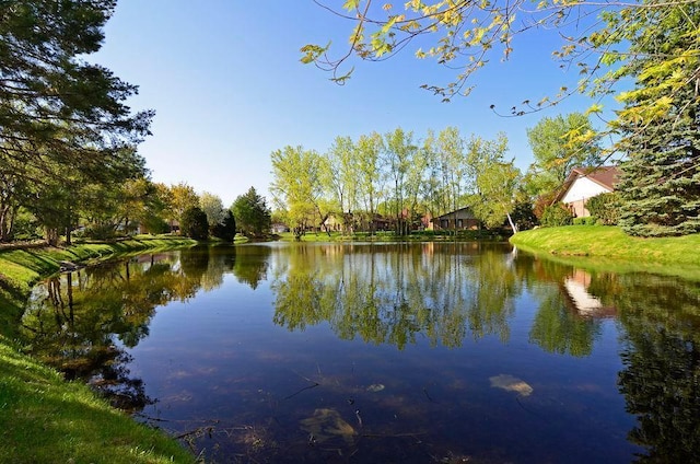 1010 Zanzibar Ln N, Plymouth, MN 55447 - photo 47