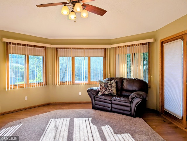 506 6th St SE, Little Falls, MN 56345 - living room featuring healthy amount of natural light, a ceiling fan, and wood finished floors