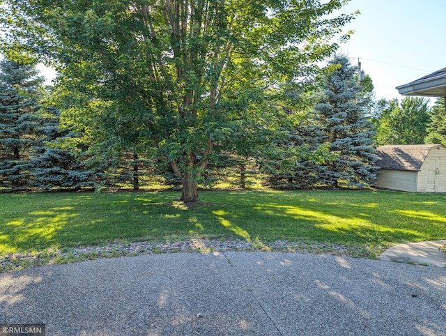 506 6th St SE, Little Falls, MN 56345 - view of green lawn featuring a storage unit