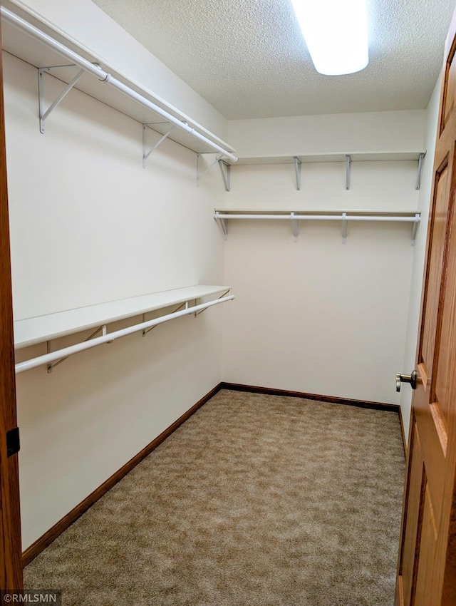 506 6th St SE, Little Falls, MN 56345 - walk in closet featuring carpet floors