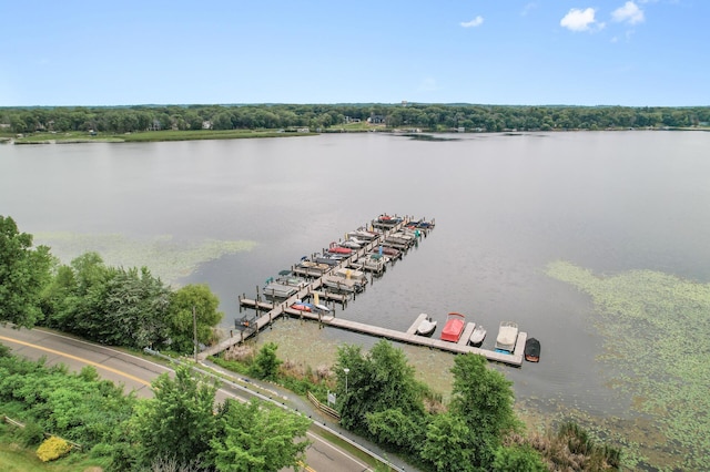 6179 Partridge Ct, White Bear Lake, MN 55110 - photo 51