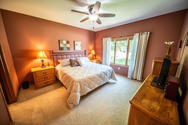 1322 Frontier Rd SE, Salem Twp, MN 55920 - bedroom with light colored carpet and ceiling fan