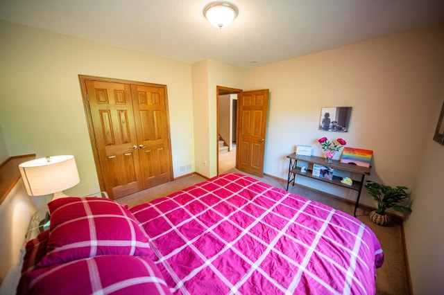 1322 Frontier Rd SE, Salem Twp, MN 55920 - bedroom featuring carpet floors and a closet