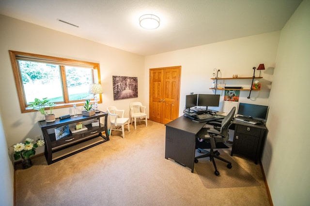1322 Frontier Rd SE, Salem Twp, MN 55920 - office area featuring light carpet and baseboards