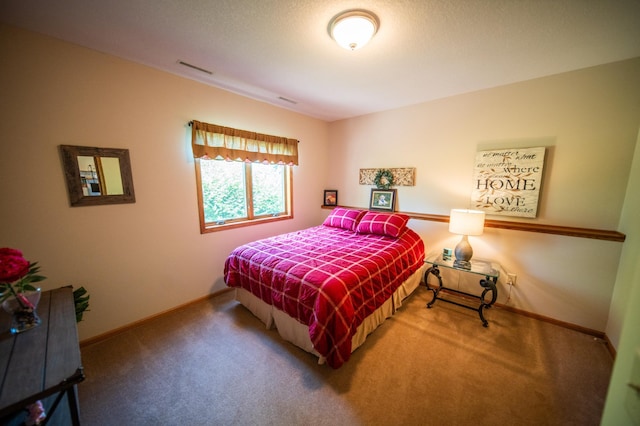 1322 Frontier Rd SE, Salem Twp, MN 55920 - bedroom featuring carpet floors and baseboards