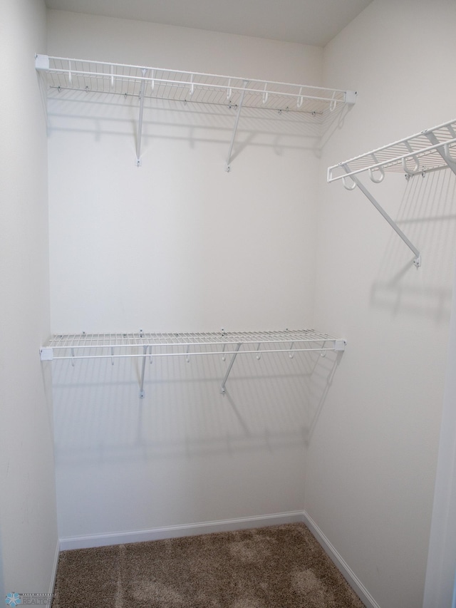 7891 Lost River Rd, Horace, ND 58047 - spacious closet with carpet flooring
