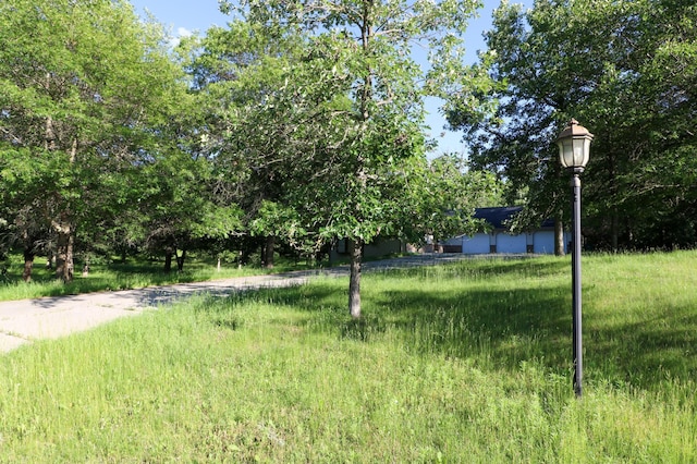 1012 Maple Ridge Ct NW, Northern Twp, MN 56601 - view of yard