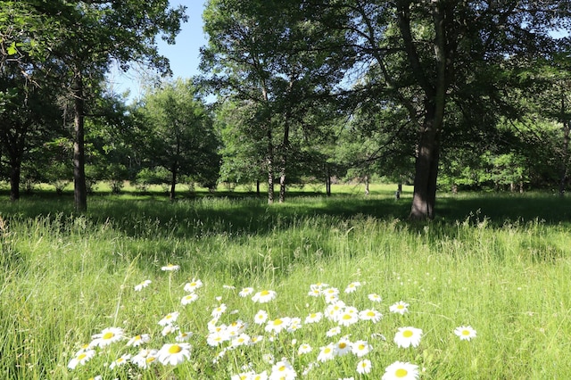 1012 Maple Ridge Ct NW, Northern Twp, MN 56601 - view of local wilderness