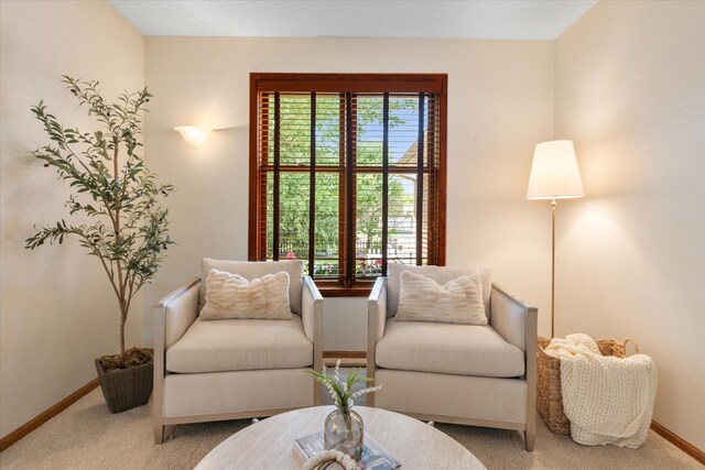 6961 Meadow Ct, Centerville, MN 55038 - living area with carpet floors and baseboards