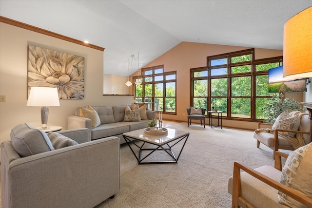 6961 Meadow Ct, Centerville, MN 55038 - living area featuring light colored carpet and high vaulted ceiling