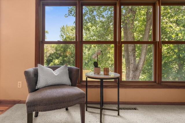 6961 Meadow Ct, Centerville, MN 55038 - view of sunroom