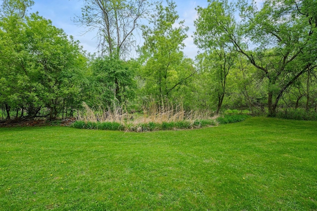 641 Parkview Dr, New Richmond, WI 54017 - photo 44