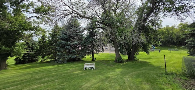 2473 Marshall St, Albert Lea, MN 56007 - view of grassy yard