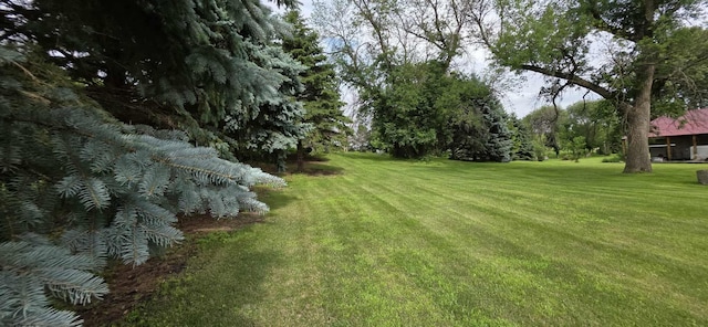 2473 Marshall St, Albert Lea, MN 56007 - view of grassy yard