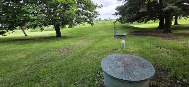 2473 Marshall St, Albert Lea, MN 56007 - view of grassy yard