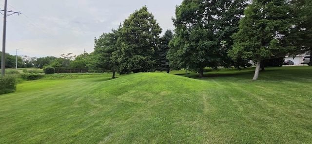 2473 Marshall St, Albert Lea, MN 56007 - view of green lawn