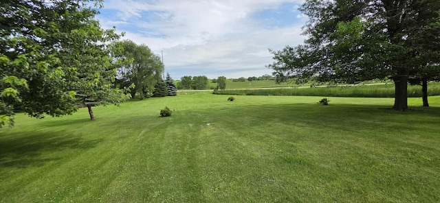 2473 Marshall St, Albert Lea, MN 56007 - view of green lawn