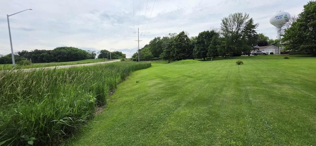 2473 Marshall St, Albert Lea, MN 56007 - view of yard