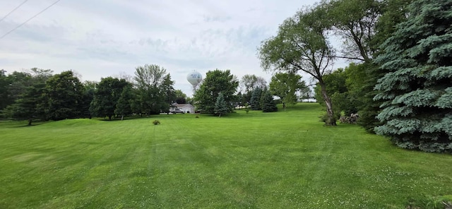 2473 Marshall St, Albert Lea, MN 56007 - view of green lawn