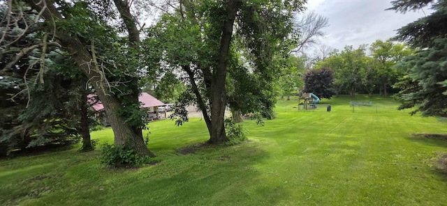 2473 Marshall St, Albert Lea, MN 56007 - view of green lawn
